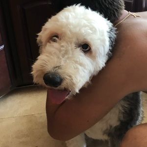 Meet your Posher, Jesse